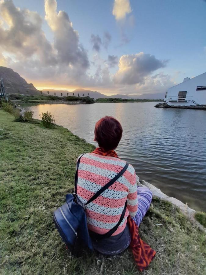 Vlei Cove Guesthouse 开普敦 外观 照片