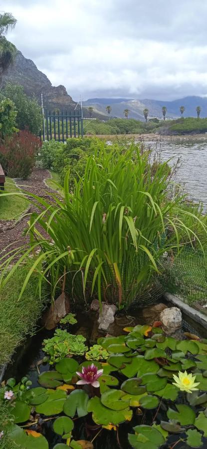 Vlei Cove Guesthouse 开普敦 外观 照片