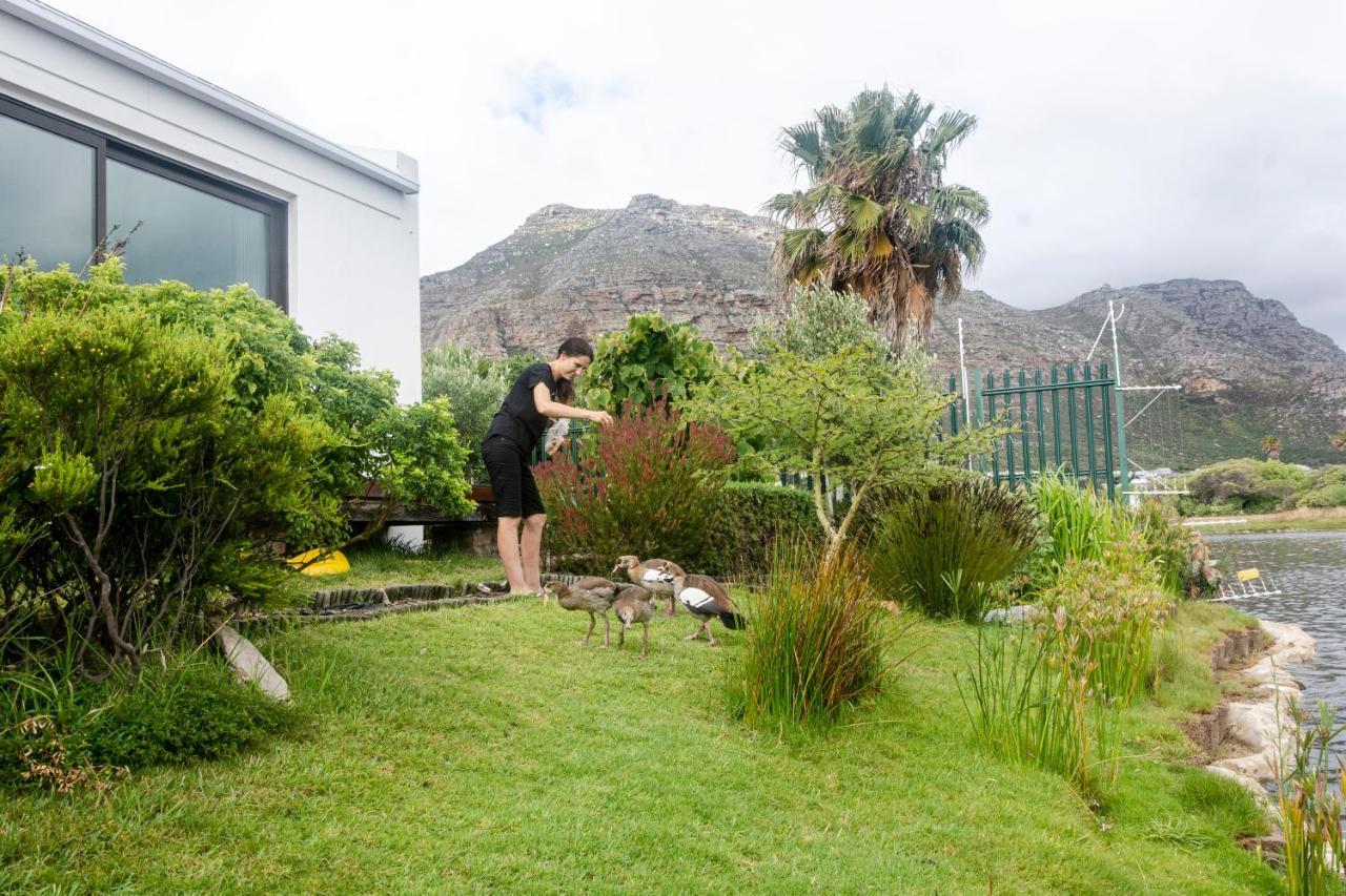 Vlei Cove Guesthouse 开普敦 外观 照片